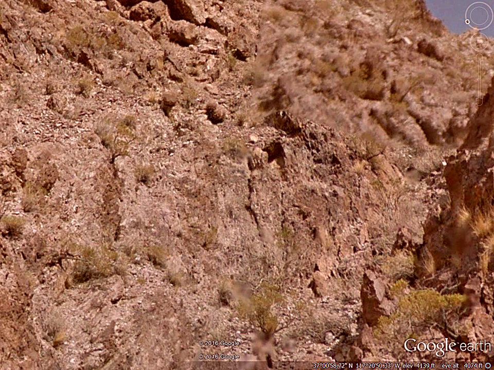 Cactus (not a washout image)